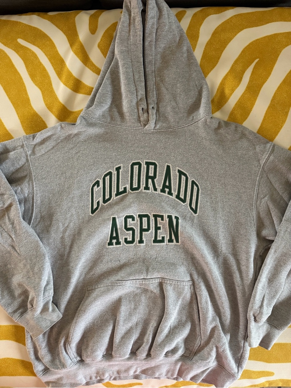 Brandy Melville/ John Galt “Colorado Aspen” Hoodie- One Size (feels like a Large